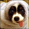 woozyunderworld