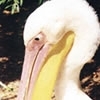 hungrymirth66
