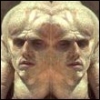 ofoxa