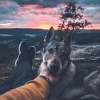 azoxepaw