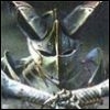 unuferi
