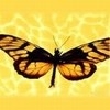 ixetazy
